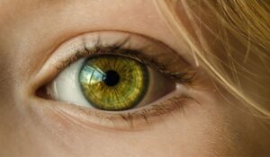 iris